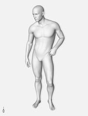 3D model of a standing man in full height. Stipple effect. Vector for brochure, flyer, presentation or banner.