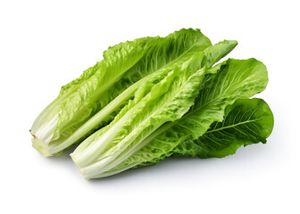 Fototapeta premium Lettuce leaves. Fresh romaine lettuce on a white background.
