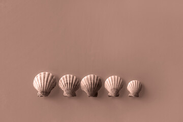 Pattern of Different seashells lined up in one row in descending order on Mocha Mousse background. Top view, flat lay. Color of the Year 2025 Mocha Mousse