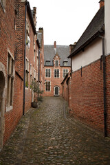 Cobblestone alleyway between historic brick buildings.  Old-world charm.  European architecture.