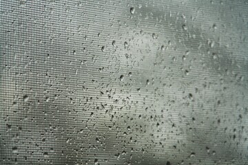 Rain droplets on a window screen during a cloudy day