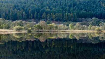 reflection of trees in mountain loch in Scotland