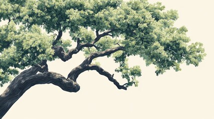 Fototapeta premium Lush green tree branches with textured bark isolated on a white background.