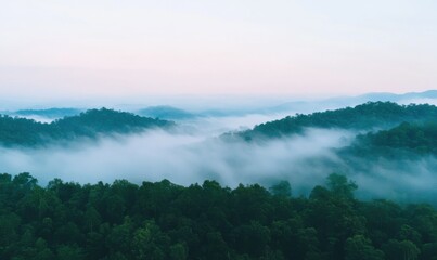 Fototapeta premium Panoramic view of forest with morning fogs