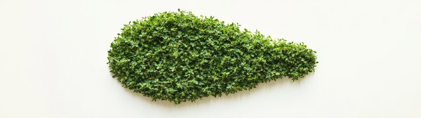 Obraz premium Green sprouts arranged in lightbulb shape on white background.