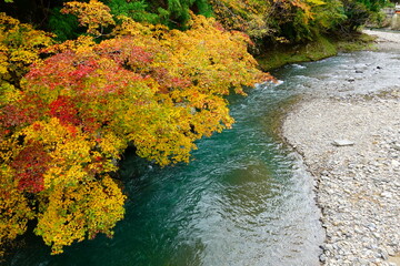 野迫川の紅葉と渓谷