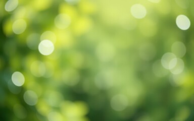 Obraz premium Soft green bokeh effect creates a dreamy atmosphere in a sunlit forest during early summer