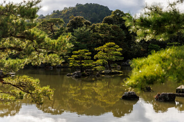 A Serene Reflection on a Tranquil Water Landscape Captures Natures Peaceful Beauty