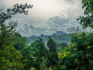 Obraz premium View of the Singapore skyline from the forest on Mount Faber