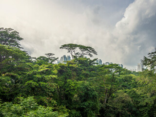 View of the Singapore skyline from the forest on Mount Faber