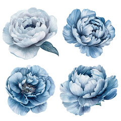 Obraz premium Perfect for design projects, invitations, and decor, these elegant blooms add a touch of nature's beauty