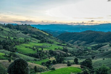 Obraz premium Lush Green Rolling Hills Under a Warm Sunset Sky