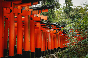 The iconic Red Torii Gates at the Fushimi Inari Shrine, located in Japan, are truly spectacular