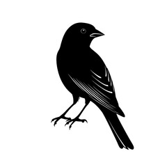 Obraz premium 2D full body illustration full body shot of a linnet silhouette isolated on a white transparent background