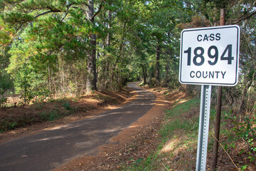 View of the Cass County 1894 farm road through pine trees near Kildare and Linden, Texas, USA