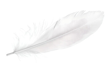 Obraz premium white feather transparent background