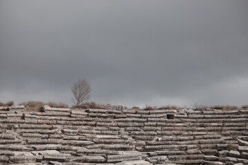 the amphitheater of the ancient city a tree sapling and gray clouds