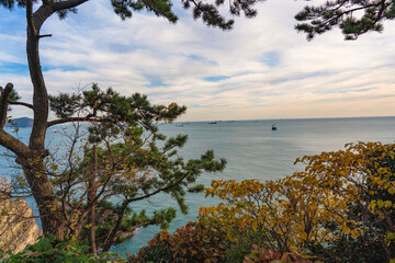 부산 송도섬 숲길사이 바다 - 송도,부산, 대한민국