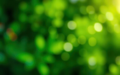 Obraz premium Bright green nature background with soft bokeh effect showcasing the beauty of foliage in a vibrant outdoor setting