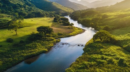 Fototapeta premium Serene River Valley: A Breathtaking Aerial View of Lush Green Landscape