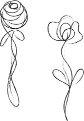 hand drawn rose