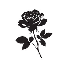 Obraz premium shiloutte of rose flower