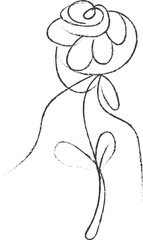 hand drawn vector illustration