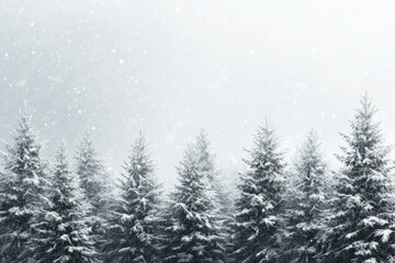 Snowy coniferous forest landscape under gray sky during winter season with falling snowflakes in tranquil atmosphere