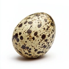 Close-Up of a Speckled Bird Egg with Cream Shell and Dark Spots Isolated on a White Background Minimalist and Elegant Nature Design