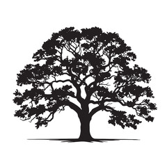 Vibrant Green Oak Tree in Spring Meadow