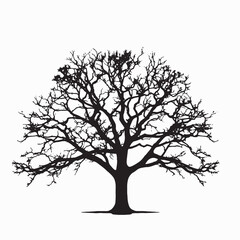 Detailed Oak Tree Silhouette for Logo