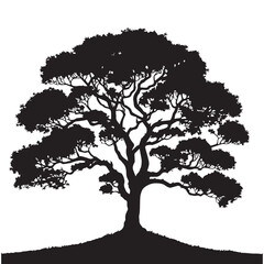 Tree silhouette vector with white background