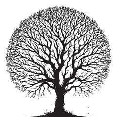Naklejka premium Tree silhouette vector with white background
