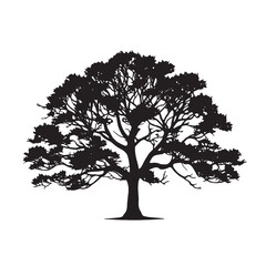 Obraz premium Rustic Oak Tree Silhouette Illustration