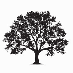 Minimalist Oak Tree Silhouette Clipart