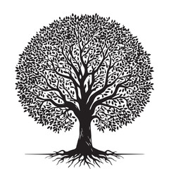 Tree silhouette vector with white background