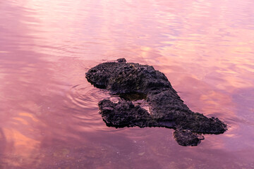 Rock Formation Reflected in Serene Pink Water at Sunset