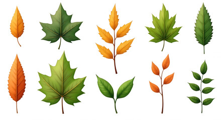 Illustrated Autumn and Green Leaves Design Elements with Transparent Background for Seasonal Projects - Isolated PNG Graphic