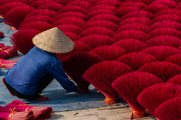 Quang Phu Cau village in Hanoi, Vietnam is famous for its century old craft of making incense. Drying incense sticks in Quang Phu Cau handicraft village. Travel and landscape concept. © huong