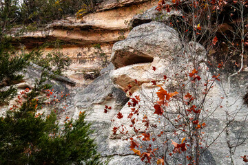 A unique rock formation resembling a monkey's face, Monkey Rock is surrounded by vibrant autumn leaves and natural limestone textures in a rugged outdoor setting.