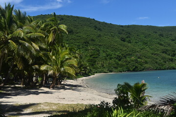 A lush green tropical paradise island with palm trees and white sandy beaches on Fiji in the Pacific Ocean