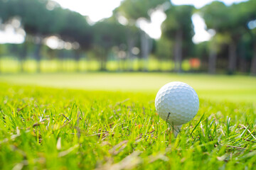 A golf ball on the golf course