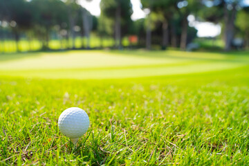 A golf ball on the golf course