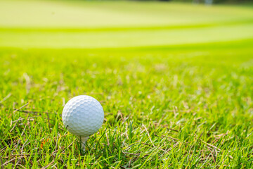 A golf ball on the golf course
