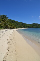 A lush green tropical paradise island with palm trees and white sandy beaches on Fiji in the Pacific Ocean