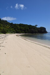 A lush green tropical paradise island with palm trees and white sandy beaches on Fiji in the...