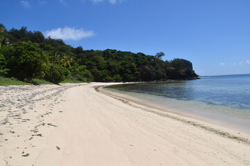 A lush green tropical paradise island with palm trees and white sandy beaches on Fiji in the Pacific Ocean