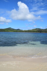 A lush green tropical paradise island with palm trees and white sandy beaches on Fiji in the...