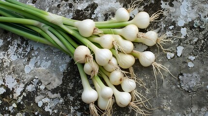 Wild spring onion seeds