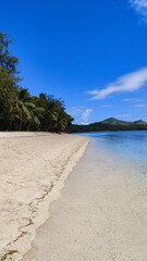 The green palm trees and mangroves along the turquoise Pacific Ocean at a paradise island in Fiji